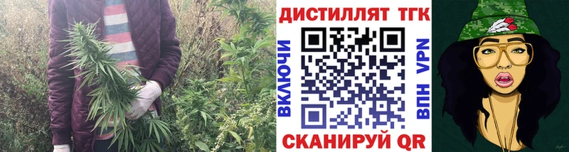 Купить закладки  Зерноград  Дистиллят ТГК гашишное масло 